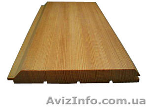 Сибирская лиственница Харьков