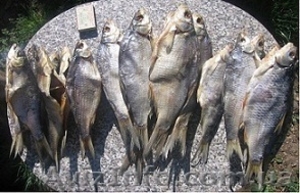 Сушена вялена риба - <ro>Изображение</ro><ru>Изображение</ru> #3, <ru>Объявление</ru> #897019