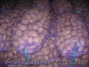 Картофель отличного качества оптом