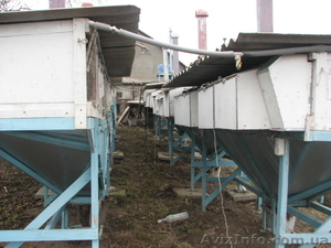 Продам міні-ферму б/у для розведення кроликів - <ro>Изображение</ro><ru>Изображение</ru> #3, <ru>Объявление</ru> #1052887