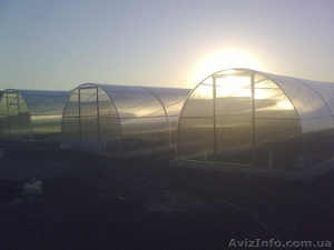  Теплицы с поликарбонатом от производителя