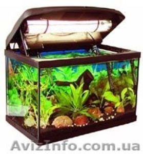 аквариум с крышкой 100 л - <ro>Изображение</ro><ru>Изображение</ru> #1, <ru>Объявление</ru> #1566171