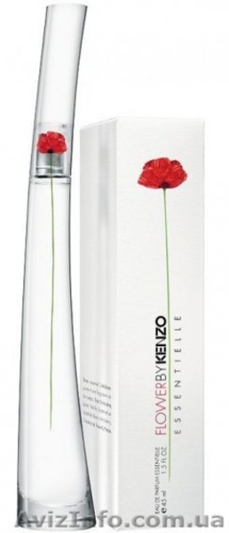 Мы предлагаем зарабатывать уже сегодня: - <ro>Изображение</ro><ru>Изображение</ru> #3, <ru>Объявление</ru> #5294