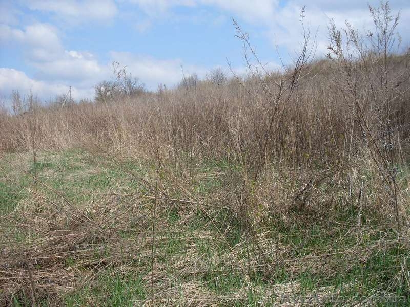 Продам дом с земельным участком в Хмельницкой обл. - <ro>Изображение</ro><ru>Изображение</ru> #2, <ru>Объявление</ru> #22864