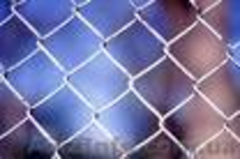 Строительные сетки - <ro>Изображение</ro><ru>Изображение</ru> #4, <ru>Объявление</ru> #49530