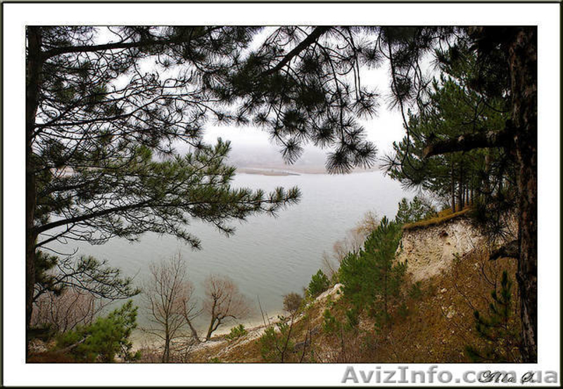 Продам участок на Днестре - <ro>Изображение</ro><ru>Изображение</ru> #4, <ru>Объявление</ru> #105128