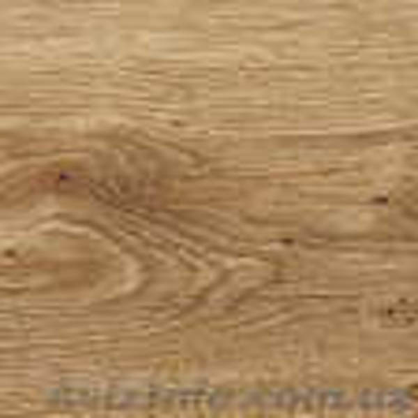 укладка и настил полов - <ro>Изображение</ro><ru>Изображение</ru> #4, <ru>Объявление</ru> #299538