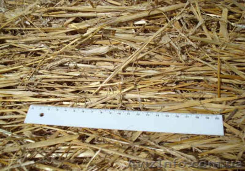 Измельчители соломы  - <ro>Изображение</ro><ru>Изображение</ru> #4, <ru>Объявление</ru> #541524