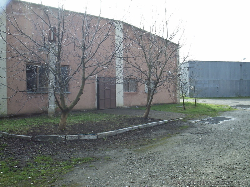 Каменец-Подольская табачная фабрика - <ro>Изображение</ro><ru>Изображение</ru> #5, <ru>Объявление</ru> #623694