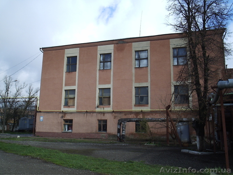 Каменец-Подольская табачная фабрика - <ro>Изображение</ro><ru>Изображение</ru> #3, <ru>Объявление</ru> #623694