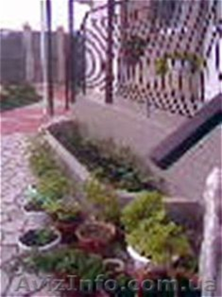 Отдых в Крыму! В Керчи! - <ro>Изображение</ro><ru>Изображение</ru> #2, <ru>Объявление</ru> #560805