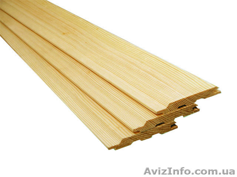 Лиственница сибирская Хмельницкий Украина - <ro>Изображение</ro><ru>Изображение</ru> #1, <ru>Объявление</ru> #153143