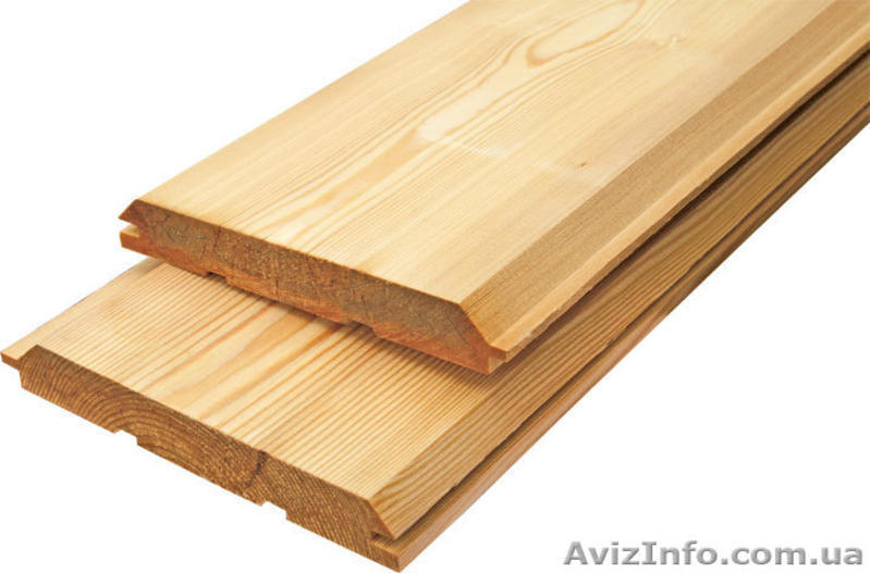 Лиственница сибирская Хмельницкий Украина - <ro>Изображение</ro><ru>Изображение</ru> #6, <ru>Объявление</ru> #153143