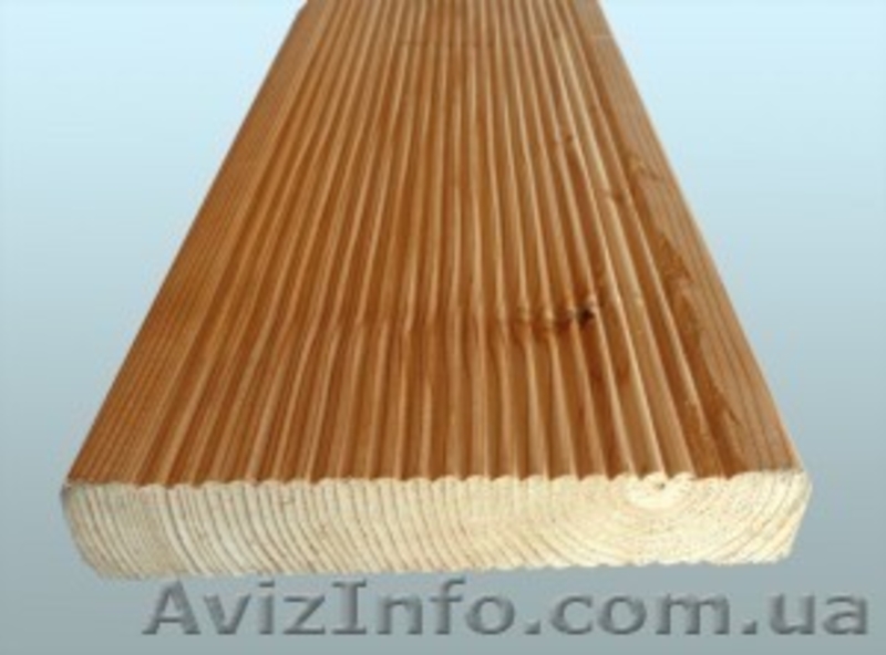 Лиственница сибирская Хмельницкий Украина - <ro>Изображение</ro><ru>Изображение</ru> #4, <ru>Объявление</ru> #153143