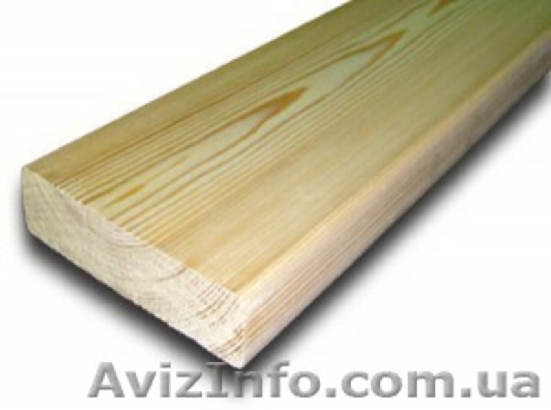 Лиственница сибирская Хмельницкий Украина - <ro>Изображение</ro><ru>Изображение</ru> #3, <ru>Объявление</ru> #153143