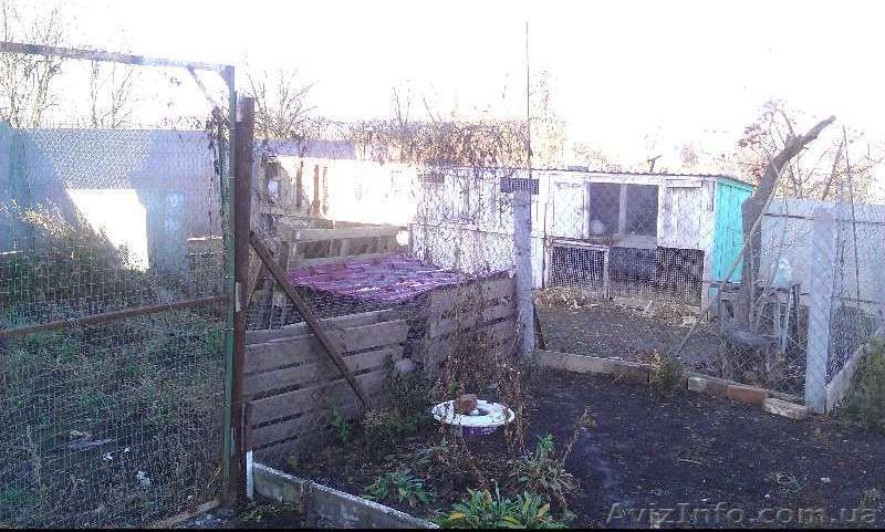 Д-5  Будинок Давидківці - <ro>Изображение</ro><ru>Изображение</ru> #4, <ru>Объявление</ru> #836865