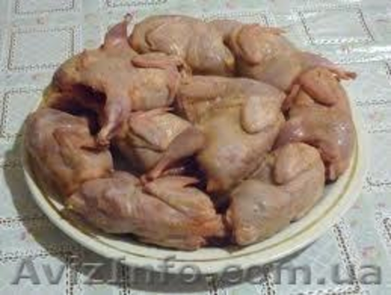 Перепела и их продукция - <ro>Изображение</ro><ru>Изображение</ru> #3, <ru>Объявление</ru> #838322