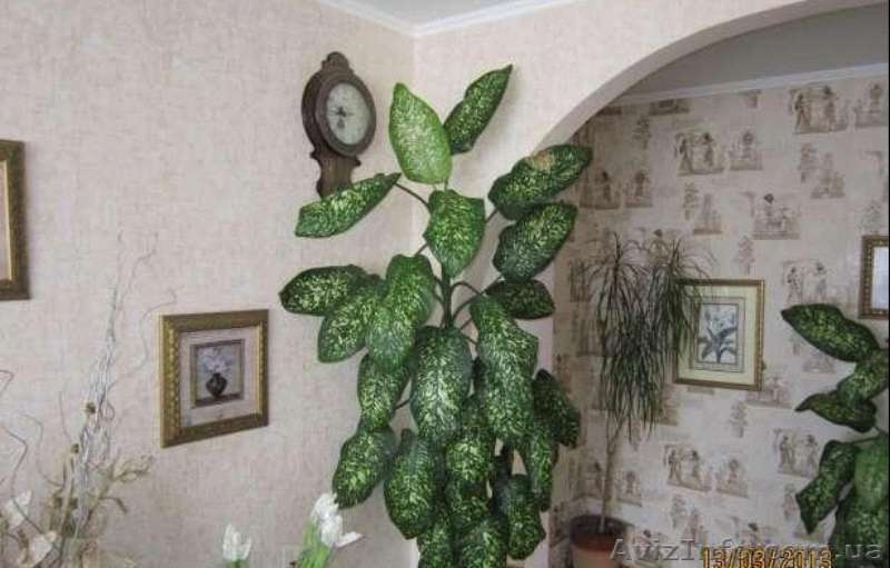 3-х кімнатна квартира, р-н Заготзерно, вул.Пілотська - <ro>Изображение</ro><ru>Изображение</ru> #6, <ru>Объявление</ru> #865332