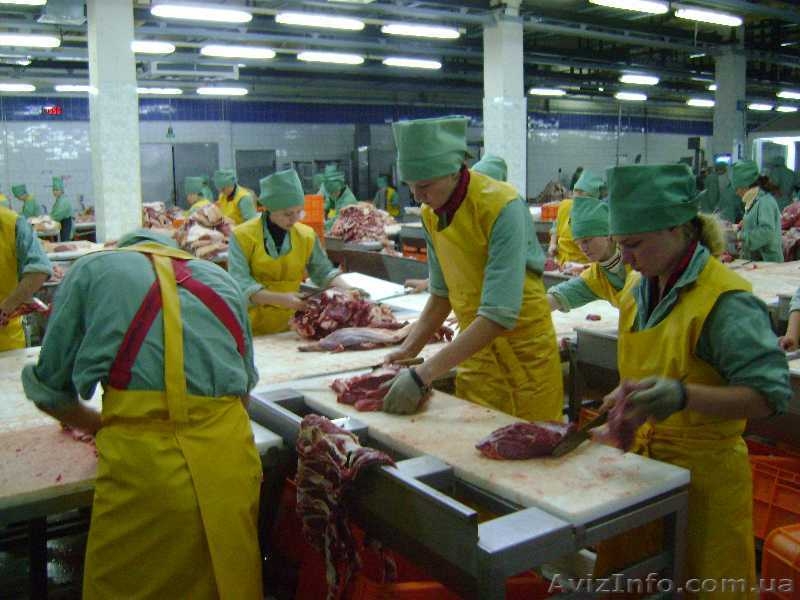 Разнорабочие на мясокомбинат. Польша - <ro>Изображение</ro><ru>Изображение</ru> #2, <ru>Объявление</ru> #815199