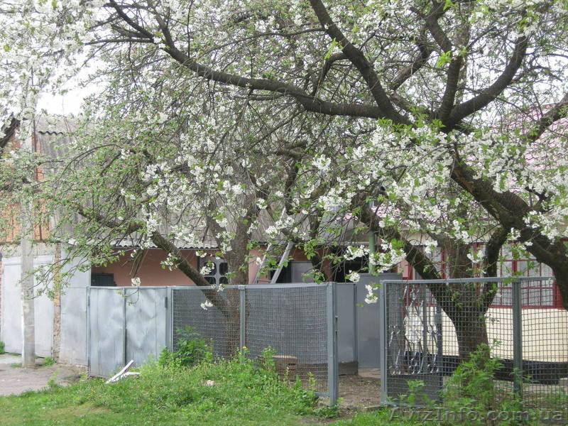 Продам дом в г. Красилов, Хмельницкая область.  - <ro>Изображение</ro><ru>Изображение</ru> #4, <ru>Объявление</ru> #879110