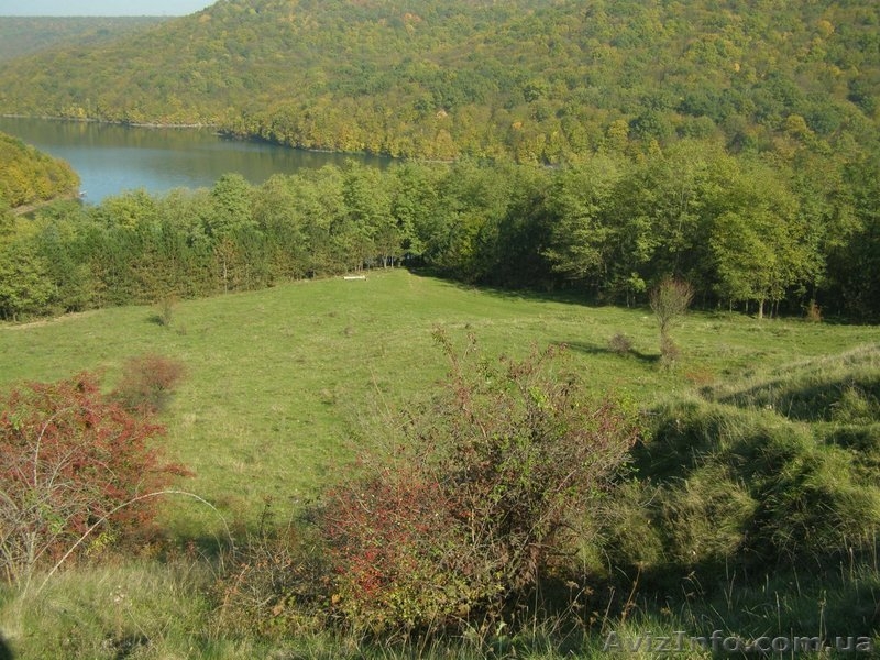 Продается участок на берегу Днестра. - <ro>Изображение</ro><ru>Изображение</ru> #1, <ru>Объявление</ru> #888156
