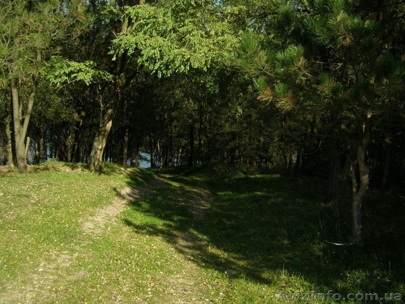 Продается участок на берегу Днестра. - <ro>Изображение</ro><ru>Изображение</ru> #2, <ru>Объявление</ru> #888156