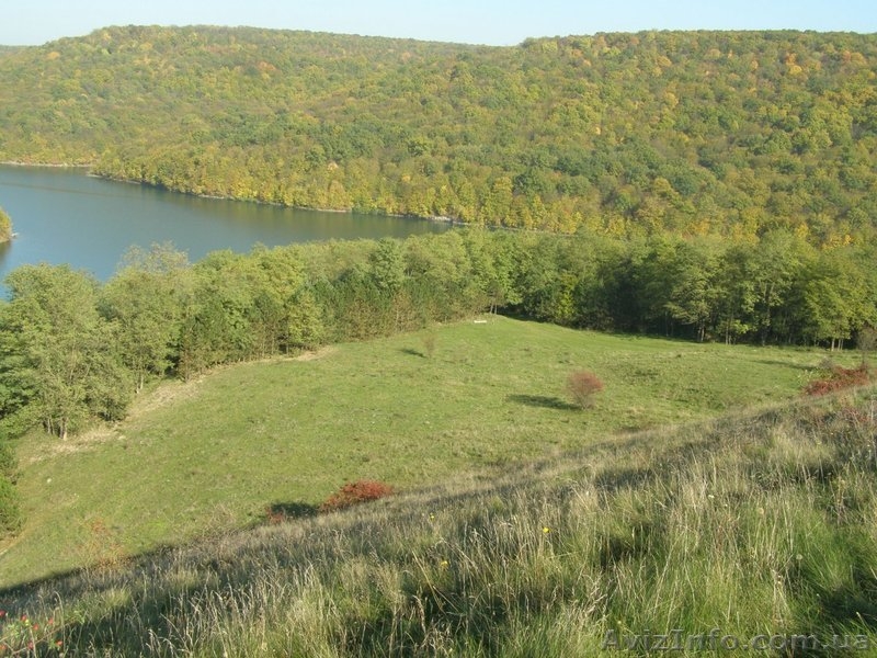 Продается участок на берегу Днестра. - <ro>Изображение</ro><ru>Изображение</ru> #7, <ru>Объявление</ru> #888156