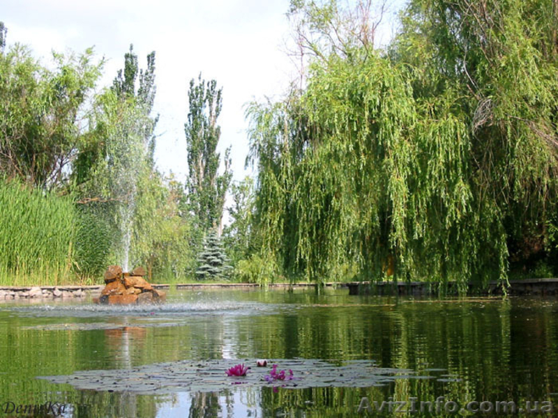 Семейный и детский отдых на Азовском море - <ro>Изображение</ro><ru>Изображение</ru> #2, <ru>Объявление</ru> #904164