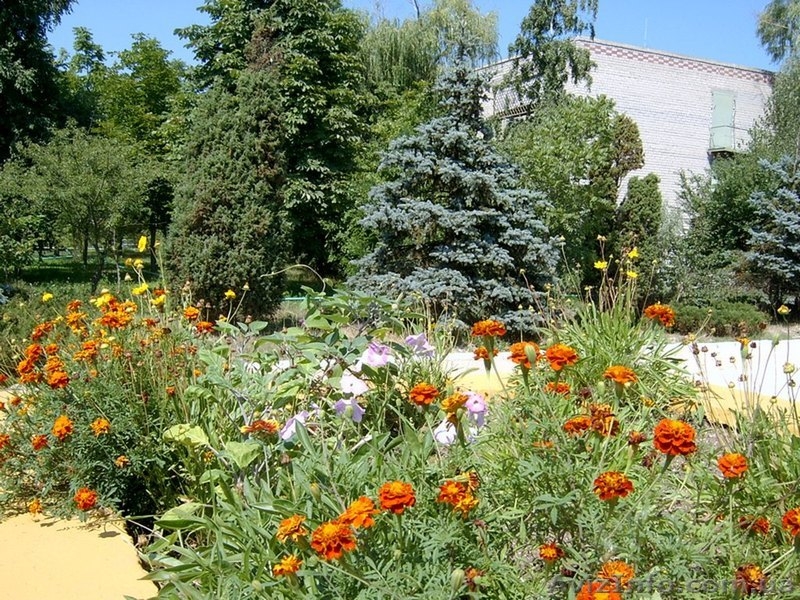 Семейный и детский отдых на Азовском море - <ro>Изображение</ro><ru>Изображение</ru> #3, <ru>Объявление</ru> #904164