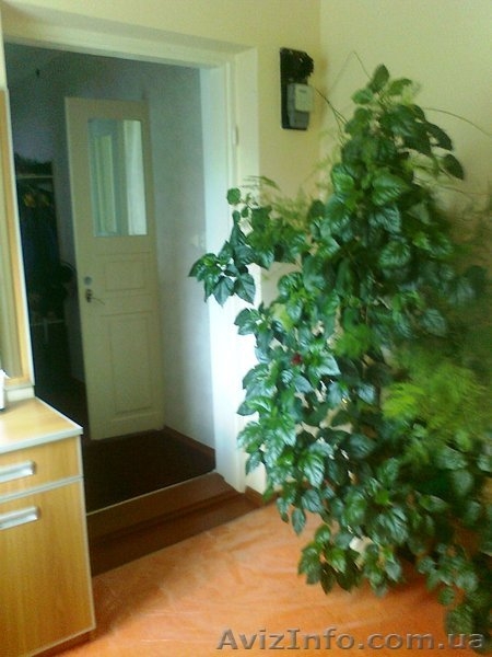 Продам домовладение Хмельницкая область пгт  Новая Ушица   - <ro>Изображение</ro><ru>Изображение</ru> #7, <ru>Объявление</ru> #934870