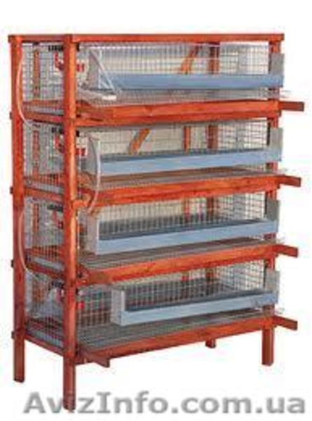 Изготовление клеток для перепелов - <ro>Изображение</ro><ru>Изображение</ru> #1, <ru>Объявление</ru> #962646