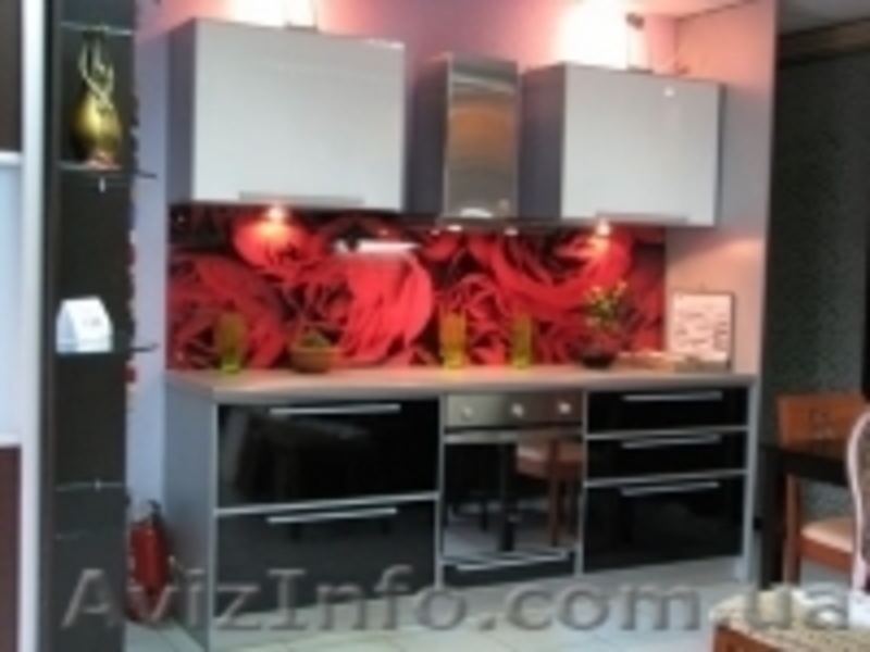 Скинали - декоративный фартук из стекла - <ro>Изображение</ro><ru>Изображение</ru> #10, <ru>Объявление</ru> #979267