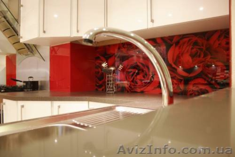 Скинали - декоративный фартук из стекла - <ro>Изображение</ro><ru>Изображение</ru> #5, <ru>Объявление</ru> #979267