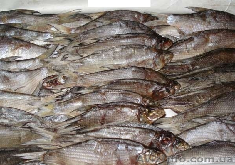 рыба тарань к пиву  - <ro>Изображение</ro><ru>Изображение</ru> #1, <ru>Объявление</ru> #1079334