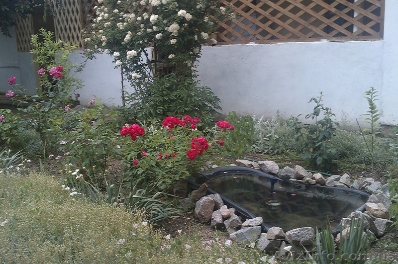 Отдых и оздоровление на Азовском море п.Генгорка, рядом панс.Мелиоратор - <ro>Изображение</ro><ru>Изображение</ru> #4, <ru>Объявление</ru> #907267