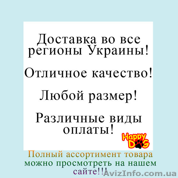 Одежда для собак, Обувь для собак, Аксессуары для собак - <ro>Изображение</ro><ru>Изображение</ru> #3, <ru>Объявление</ru> #1202079