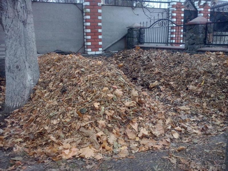 Продажа маточного поголовья технологических червей для биогумуса и для рыбалки - <ro>Изображение</ro><ru>Изображение</ru> #1, <ru>Объявление</ru> #1314138