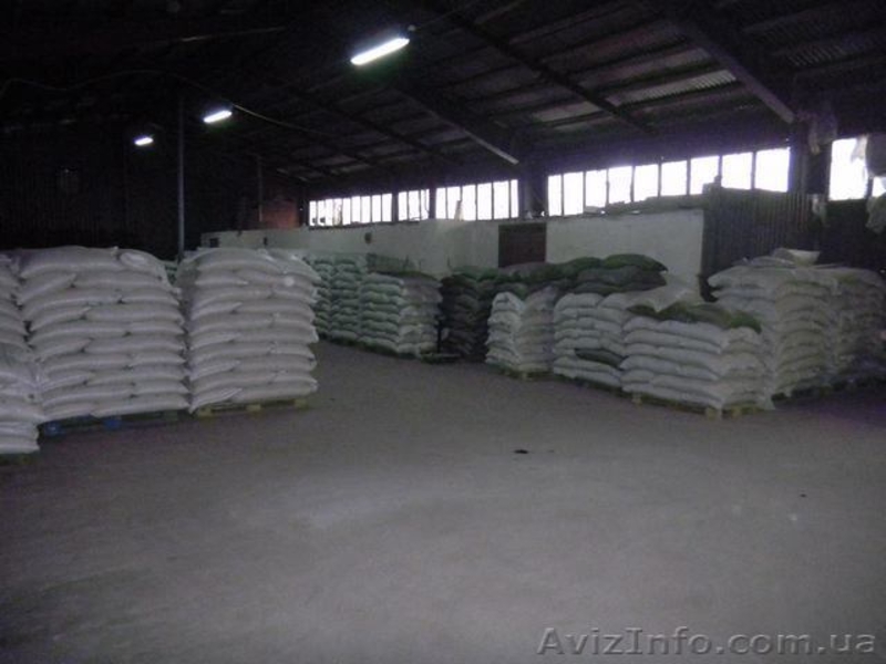 Продажа завода по переработке гороха (от хозяина). - <ro>Изображение</ro><ru>Изображение</ru> #5, <ru>Объявление</ru> #1565603