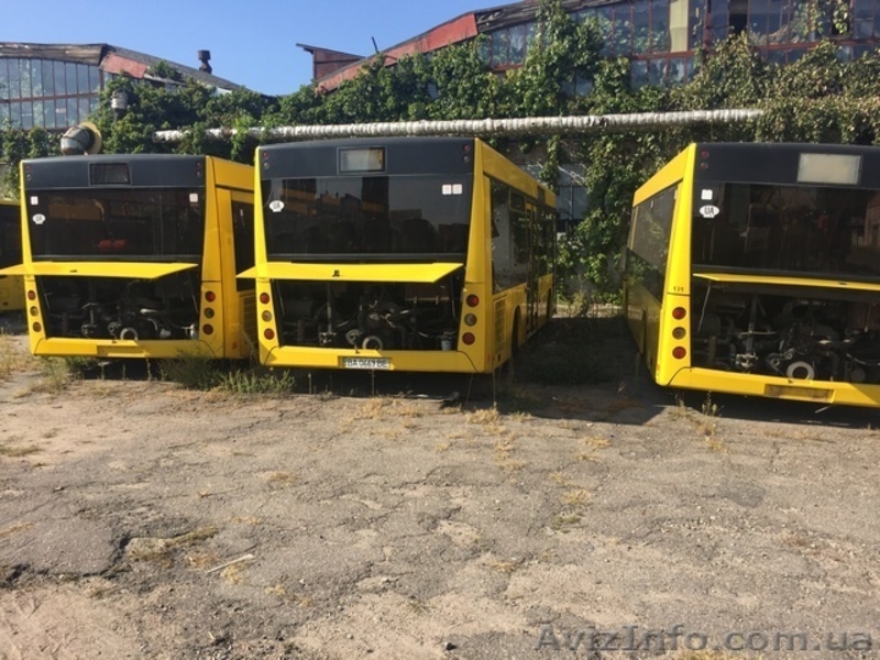 Автобусы МАЗ 206 (двигатель дизель МЕРСЕДЕС, 4 цилиндра) - <ro>Изображение</ro><ru>Изображение</ru> #2, <ru>Объявление</ru> #1590528