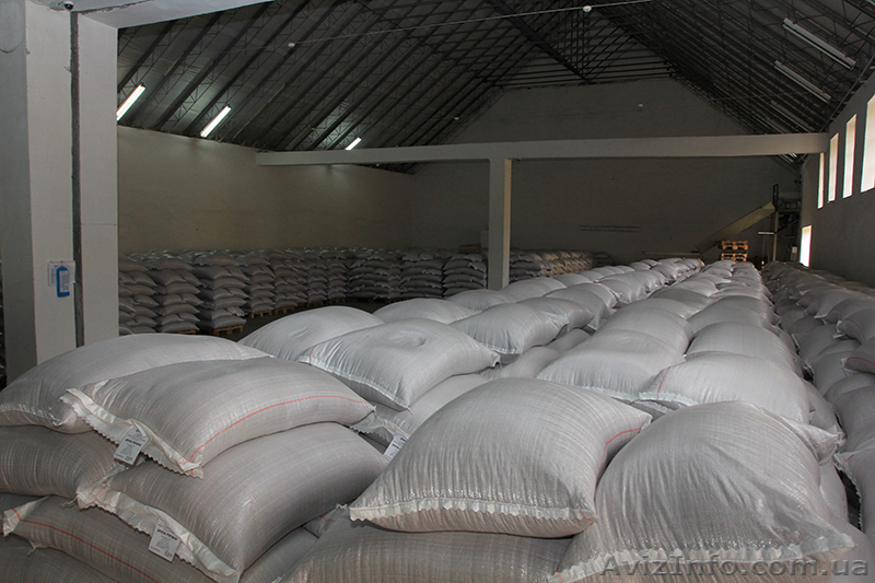 Гречка від виробника ГОСТ  5550-74 - <ro>Изображение</ro><ru>Изображение</ru> #3, <ru>Объявление</ru> #1596963