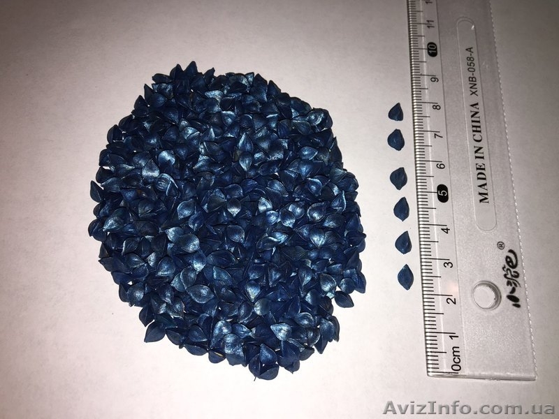 Продам насіння канадської гречки "АРНО", гречка - <ro>Изображение</ro><ru>Изображение</ru> #1, <ru>Объявление</ru> #1613309