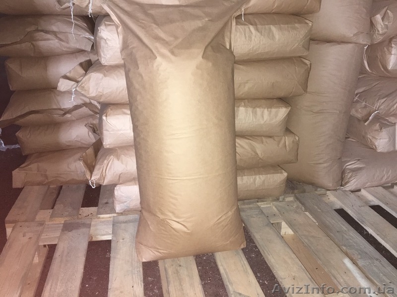 Продам насіння канадської гречки "ГРЕНБІ", гречка - <ro>Изображение</ro><ru>Изображение</ru> #3, <ru>Объявление</ru> #1614161