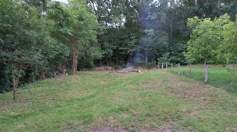 Відпочинок на Дністрі(кемпінг) - <ro>Изображение</ro><ru>Изображение</ru> #2, <ru>Объявление</ru> #1687759