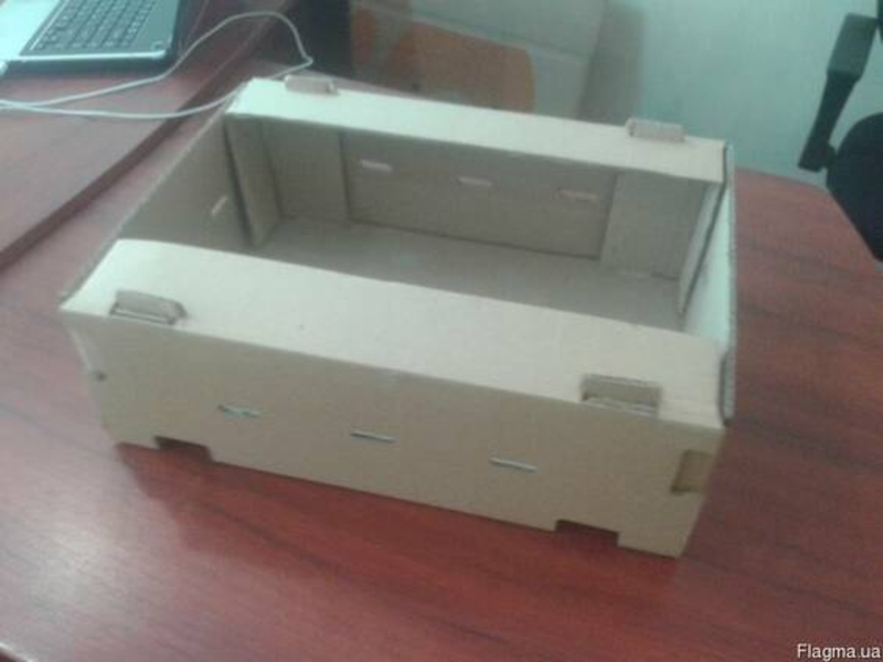 Картонная евротара под яблоки на 15 кг  - <ro>Изображение</ro><ru>Изображение</ru> #2, <ru>Объявление</ru> #1739007